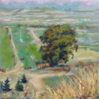 Click to enlarge "Viansa Winery 2" Viansa Winery 2, 12"x12", Oil on Canvas (2003)