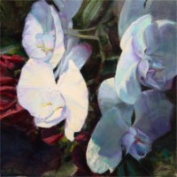 Orchids, 20"x20", Oil on Canvas (2005)