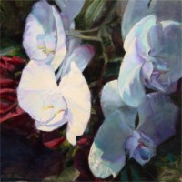 Click to enlarge "Orchids" Orchids, 20"x20", Oil on Canvas (2005)